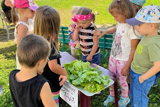 Náš malý zeleninový trh  1