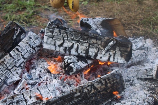 1. Poznáváme nepoznané aneb bez práce nejsou v našem případě brambory 1