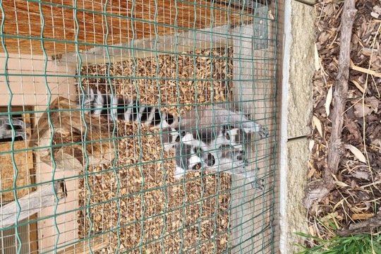Ježečci z MŠ Soběchleby - Návštěva Bioparku v Teplicích 1