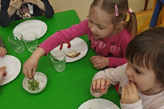 Bylinková radost v naší školce 1