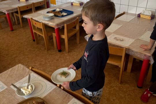 Pěstujeme microgreens - Sovičky 1