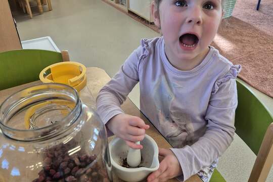 Připravujeme si bylinkový čaj  1