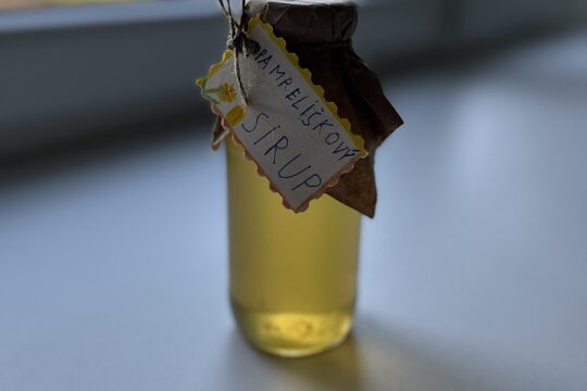 Pampeliškový sirup 1