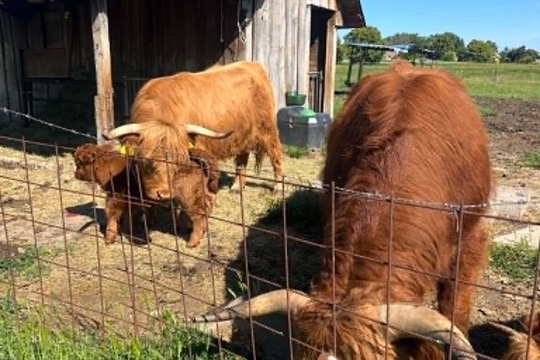 Děti ze třídy Sluníček navštívily farmu v Šanově u Huginka Děti ze třídy Sluníček navštívily farmu v Šanově u Huginka 1