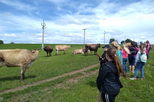 Exkurze žáků na farmě Vařejkův dvůr 1