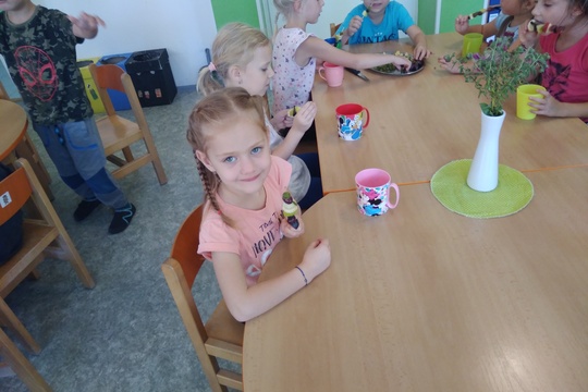 Ovocné špízy 1
