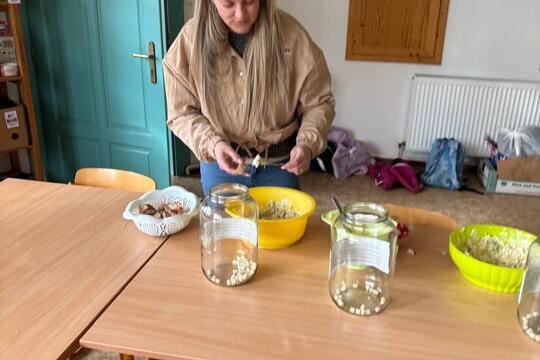 Zdravé pomazánky 1