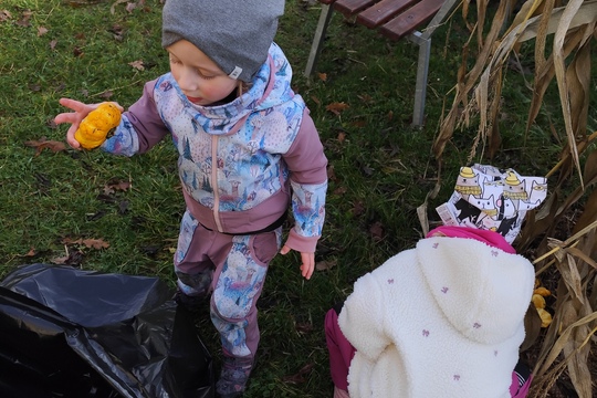 Připravujeme naši zahradu k odpočinku 1