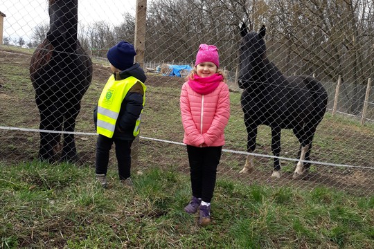 Návštěvy koňské farmy 1