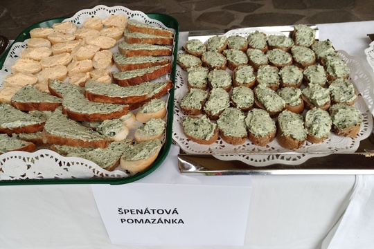Zahradní slavnost 1