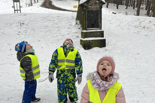 Sovičky z MŠ Dukelských hrdinů - Adventní kartičky Sněhová vločka na jazyku 1