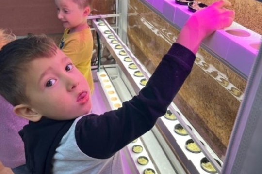 Pořízení druhé hydroponické zahrádky do MŠ Dukelských hrdinů Pořízení druhé hydroponické zahrádky do MŠ Dukelských hrdinů 1
