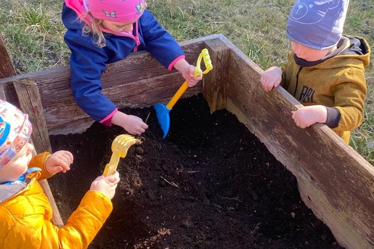 Sázení hrášku a cibule  1