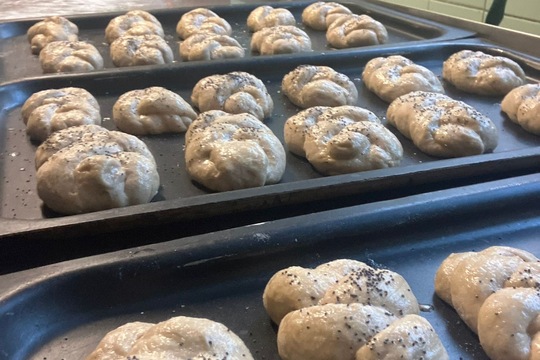 Domácí houstičky 1