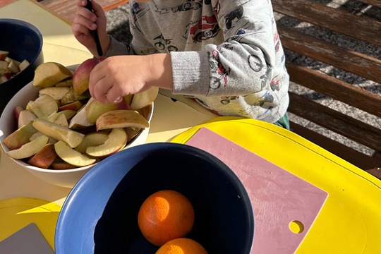Moštování jablíček a hrušek Moštování jablíček a hrušek 1