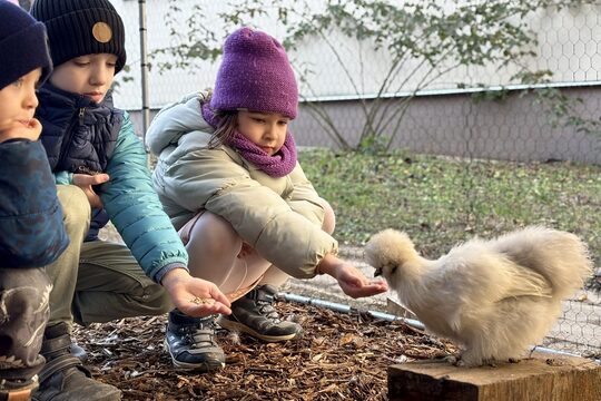 Nový kurník na naší školní zahradě! Nový kurník na naší školní zahradě! 1