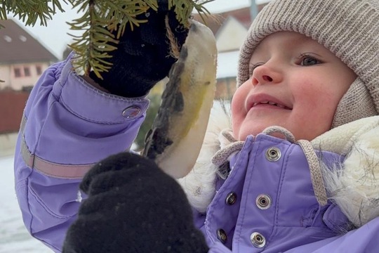 Ledová lednová krmítka  1