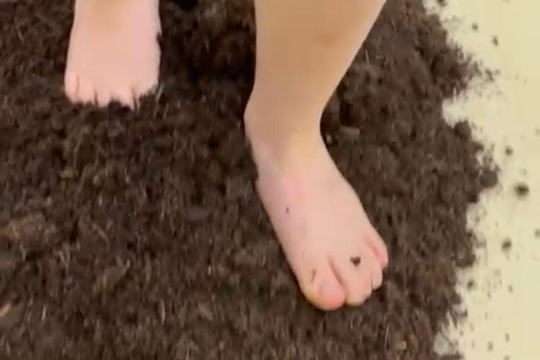 Jsme školka v pohybu Jsme školka v pohybu 1