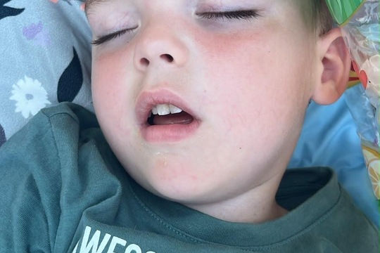 Ořešák jako zázemí Ořešák jako zázemí 1