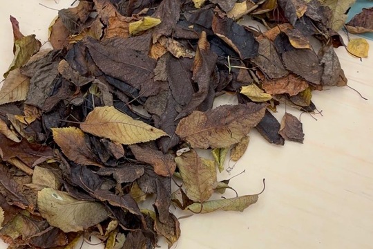 Jsme školka v pohybu Jsme školka v pohybu 1