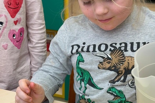 Ledová lednová krmítka  1