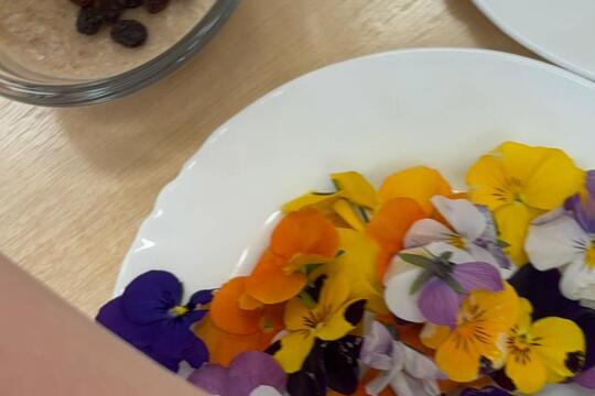 Ke svačině jaro  1