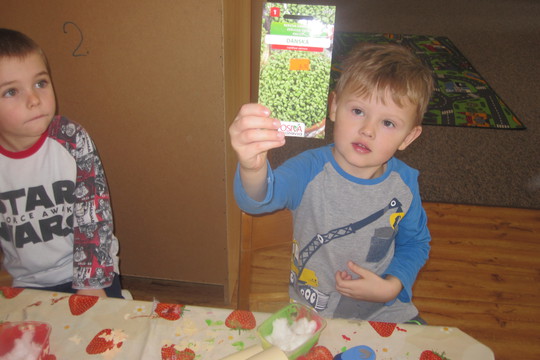 Vitaminová řeřicha 1