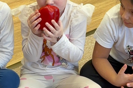 Paprika jako propojené aktivity  1