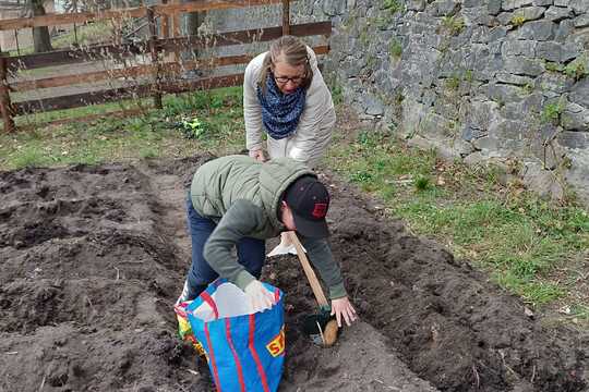 Zahrádkový pětiboj 1