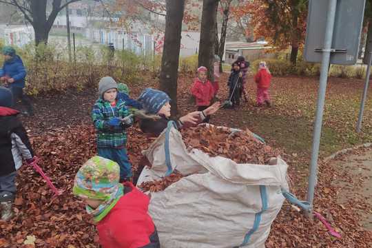 Úklid školní zahrady - hrabání listí 1