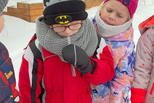 Sníh+ mráz + my = zmrzlina  1