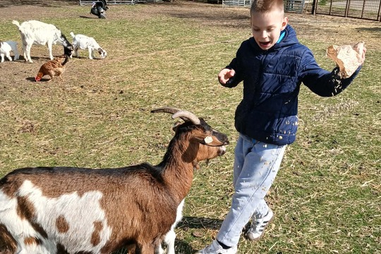 Výlet na Zlatou farmu  1