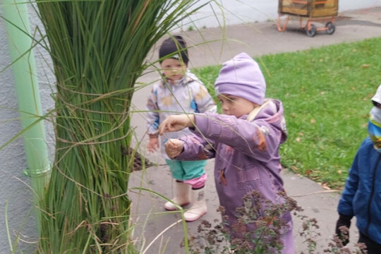 Zazimování školní zahrady 1