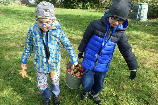 Příprava pečeného čaje 1