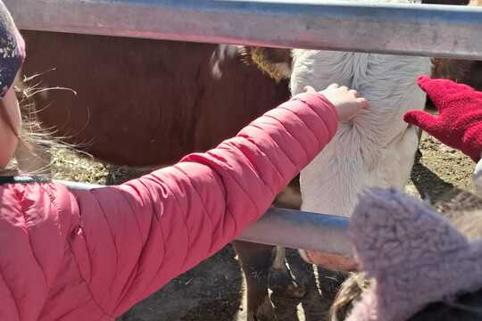 Výlet na Zlatou farmu  1