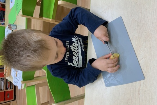 Sušení ovoce Sušení ovoce 1