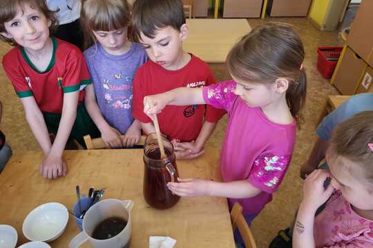 Pampeliškový med - Sluníčka 1