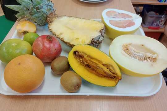 Ochutnávka tropického ovoce 1