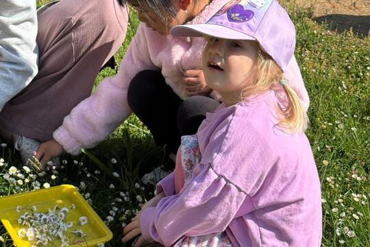 Sedmikrásková limonáda 1
