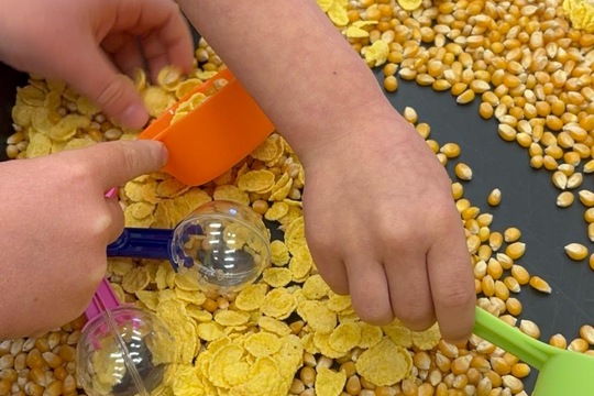 Farma u nás ve třídě  1