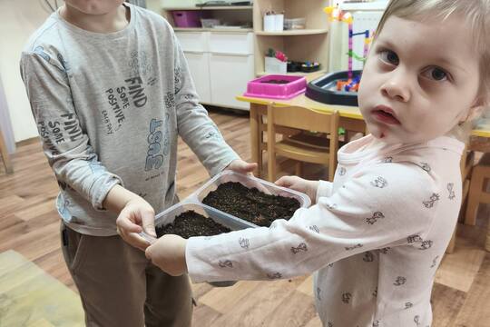 Sázení a konzumace řeřichy 1