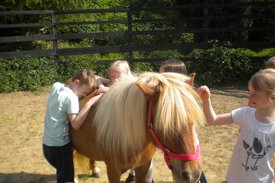 Návštěva farmy "Appaloosa". 1