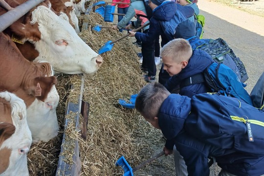 Výlet na Zlatou farmu  1