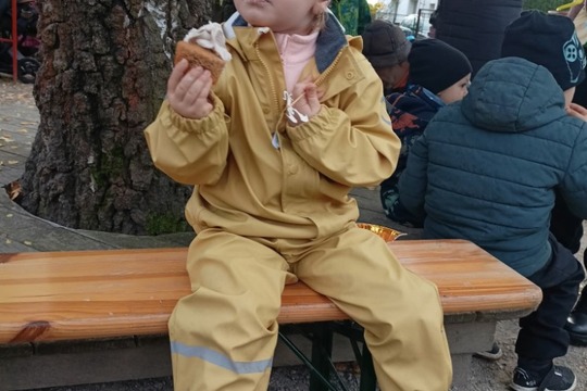 Dračí odpoledne se švestkami 1