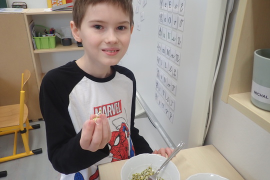 Klíčení mungo fazolí 1