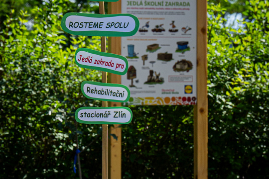 Rehabilitační stacionář Zlín otevřel Jedlou školní zahradu „Rosteme spolu“ 1