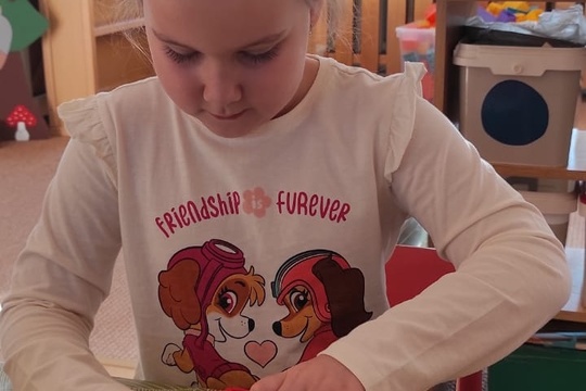 Domácí hranolky 1