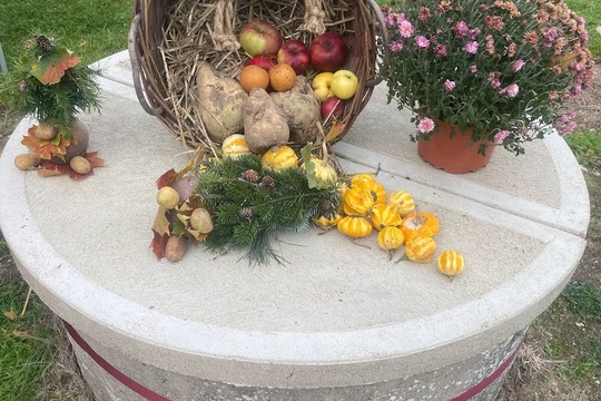 Podzimní slavnost - Jablka a řepa 1