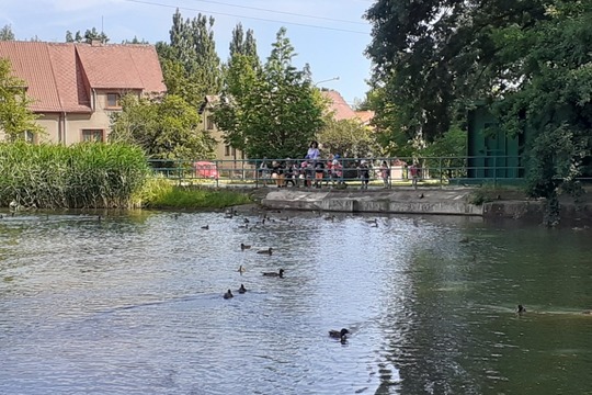 Výlet do Pustkoveckého parku  1