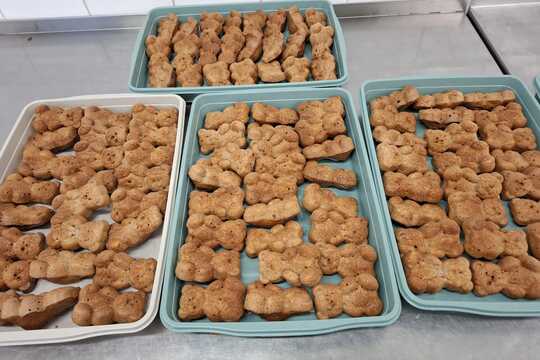 Domácí brumíci ke svačině 1